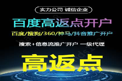 百度竞价推广公司经典案例解析：广告投放策略的智慧